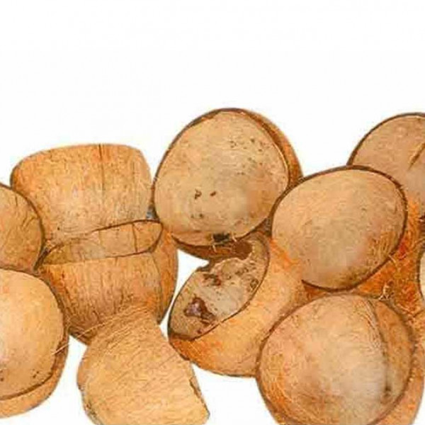 Buy Dry Coconut Shells Online -NatureLoc